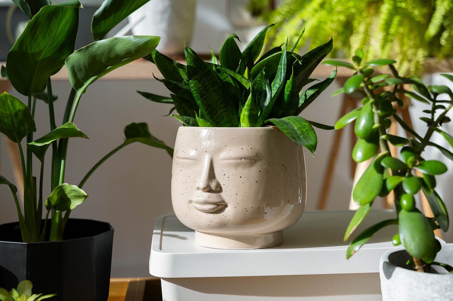 Cache-pot design en forme de visage avec des plantes vertes pour créer une atmosphère zen et harmonieuse dans la maison